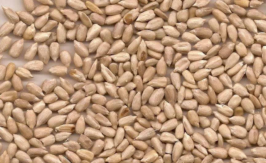 SUNFLOWER KERNELS