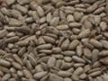 Roasted  Sunflower   Kernels 