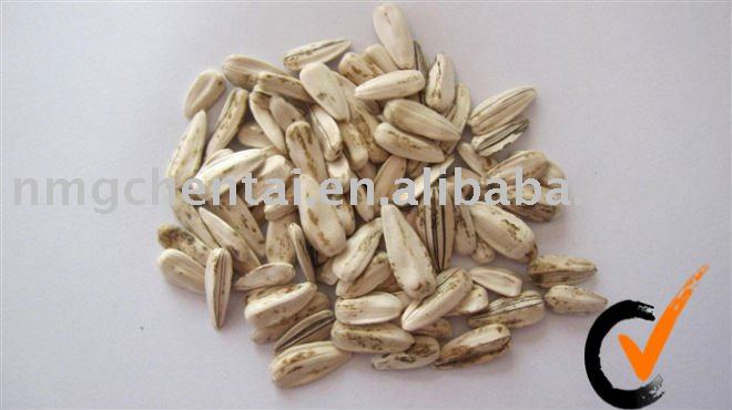 White Sunflower Seeds