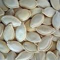pumkin seeds