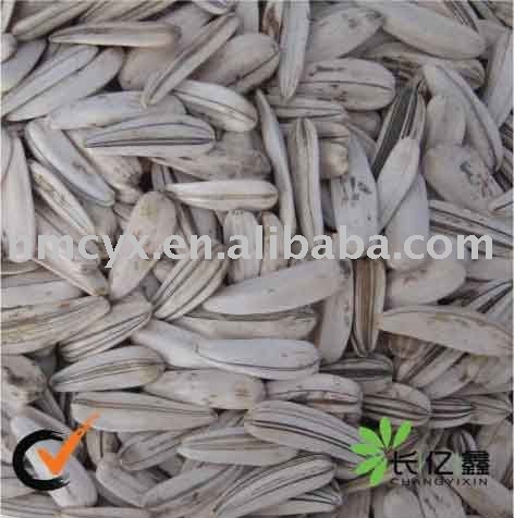 Sunflower seed