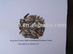 HPS  Striped Sunflower seeds(bird food GF2)
