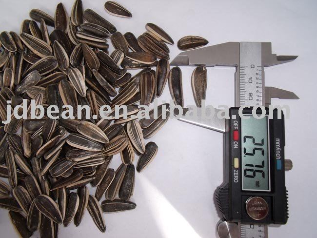 ALIBABA USED EXCLUSIVELY Sunflower seeds (bird food GF2)