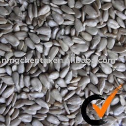 Sunflower  kernel for oil extraction