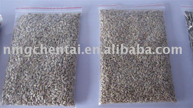 Bakery Grade Sunflower  kernel for oil refine
