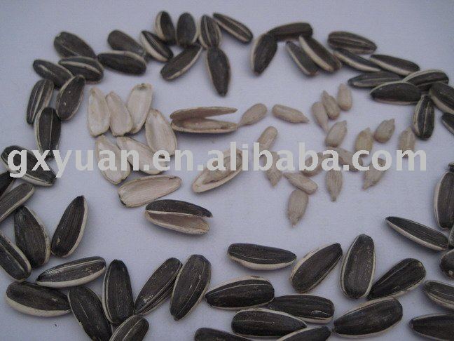 sunflower seeds in shell 2010