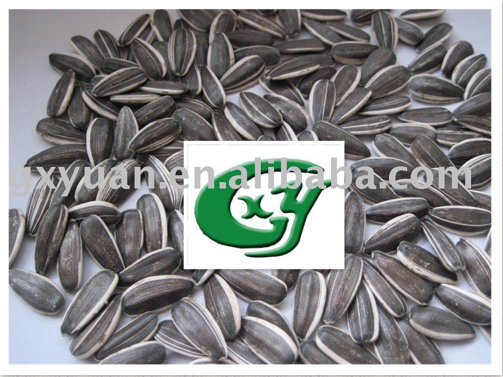 sunflower seeds 24/64 top quality