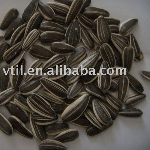 China  Raw Sunflower Seeds