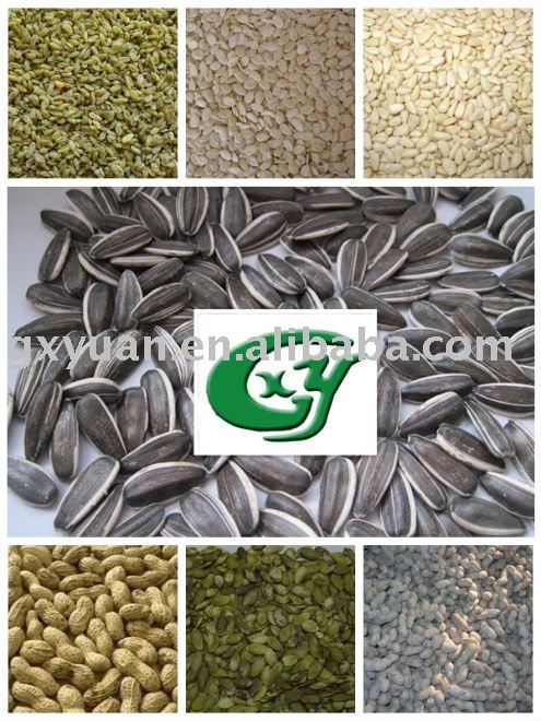 sunflower seeds in shell 5009