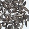 sunflower kernel