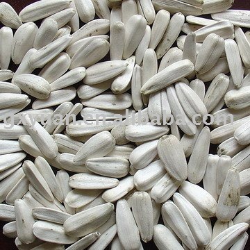 White  Sunflower   Seeds   China 