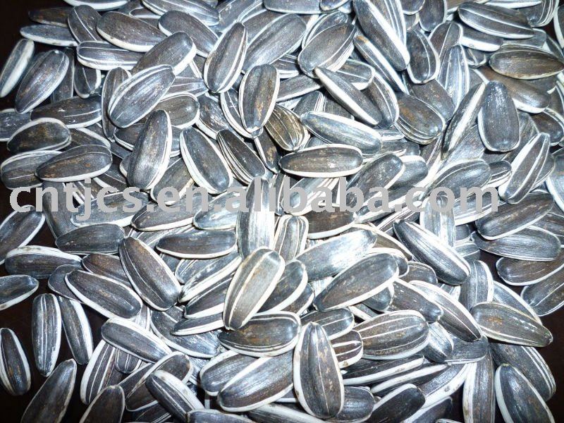 sunflower seeds 20/64,22/64,24/64