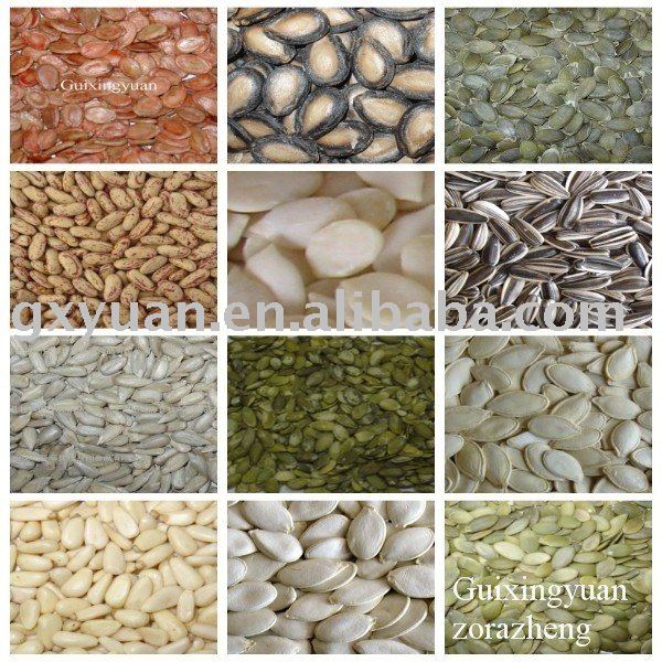 Sunflower Seeds Pumpkin Seeds Melon Seeds