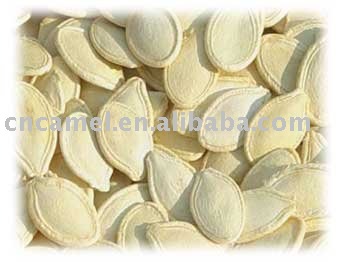 snow white pumpkin seed