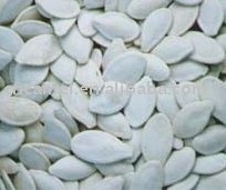 snow white  seeds