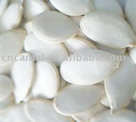 snow white seeds