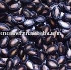 black  Watermelon Seeds