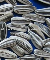 sunfloer seeds