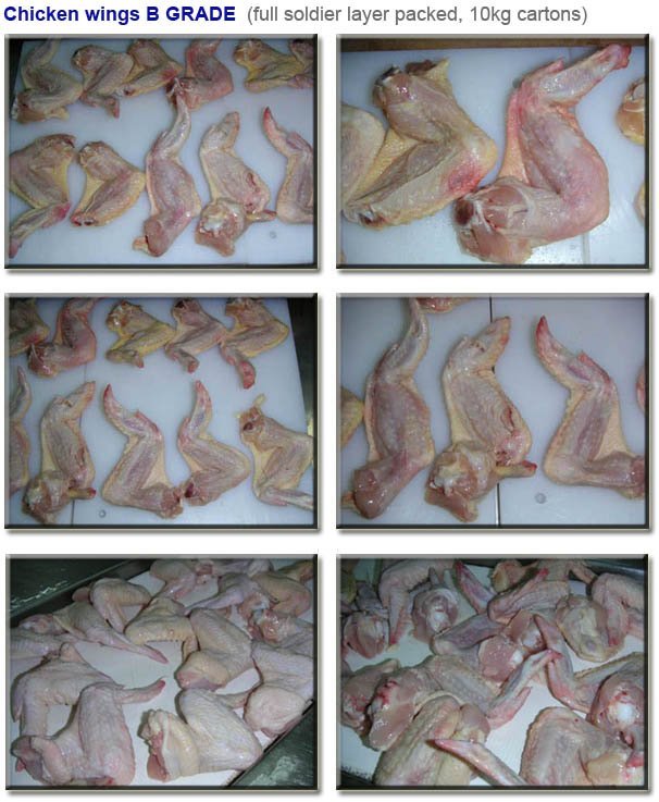Chicken