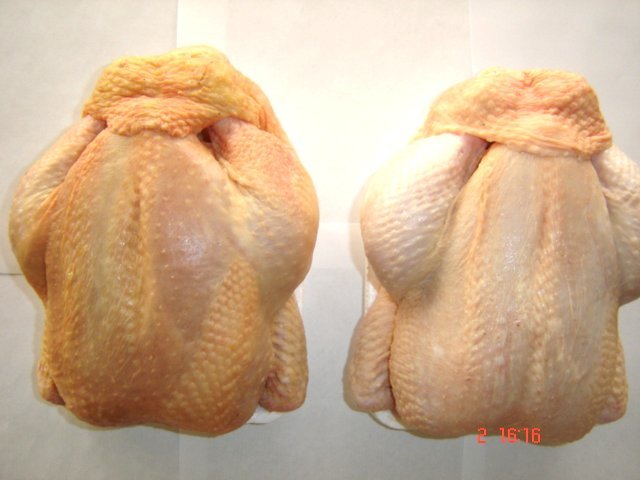 Chicken Grillers / Broilers 1,5 Kg Up