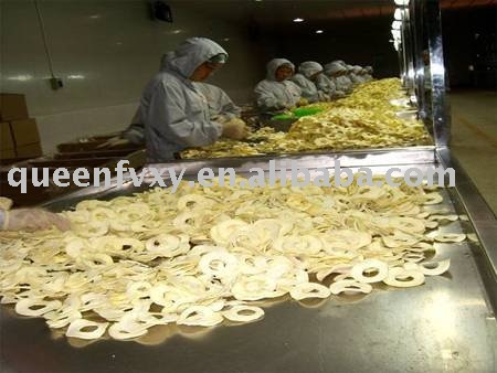 chips (natural flavour)