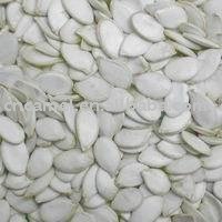 pumpkin seeds snow