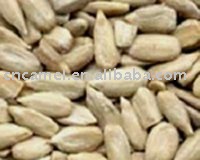 sunflower seed kernels