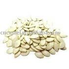 pumpkin seed  snow