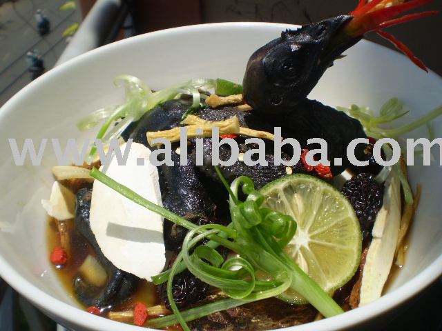  Black   Chicken , Quail