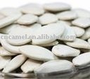  snow    white   seed s