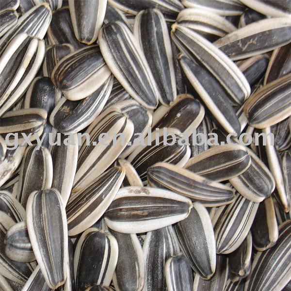 Stripped Sunflower seeds IREGI products,Bulgaria Stripped Sunflower ...