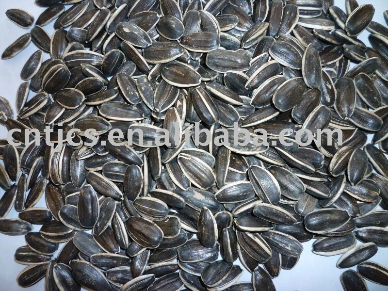 Sunflower seeds, US type,5135, 20/64