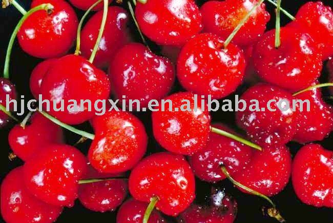 dried cherry   dried fruit preserves
