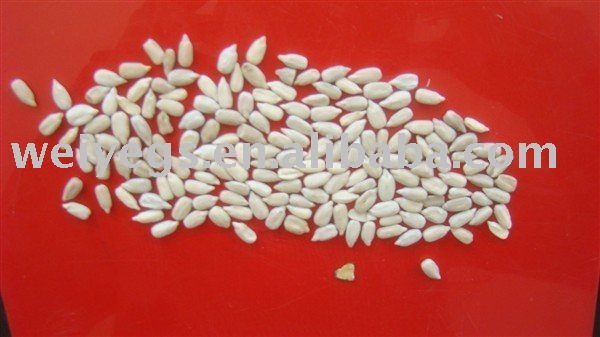 sunflower seeds kernels