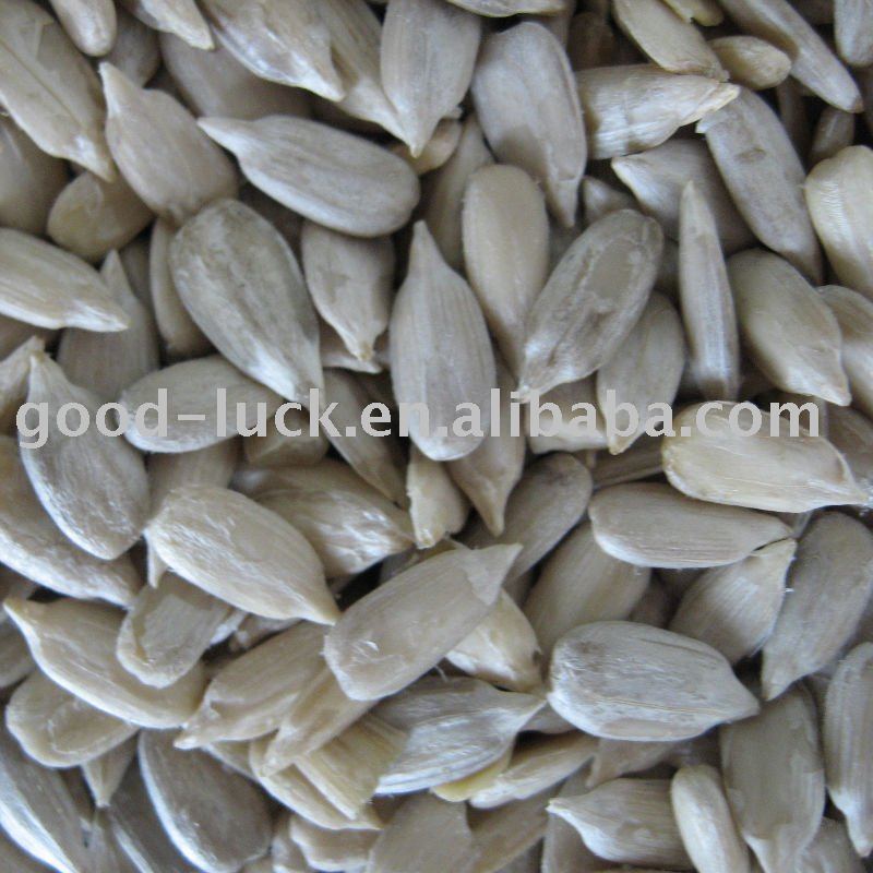  Confectionary   Sunflower   Kernel 