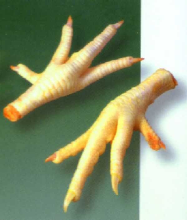 Chicken Paws