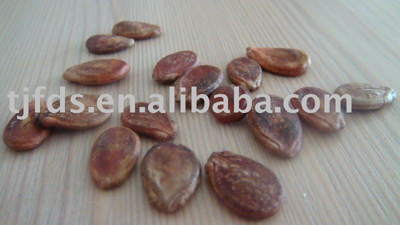 Red Water Melon Seeds