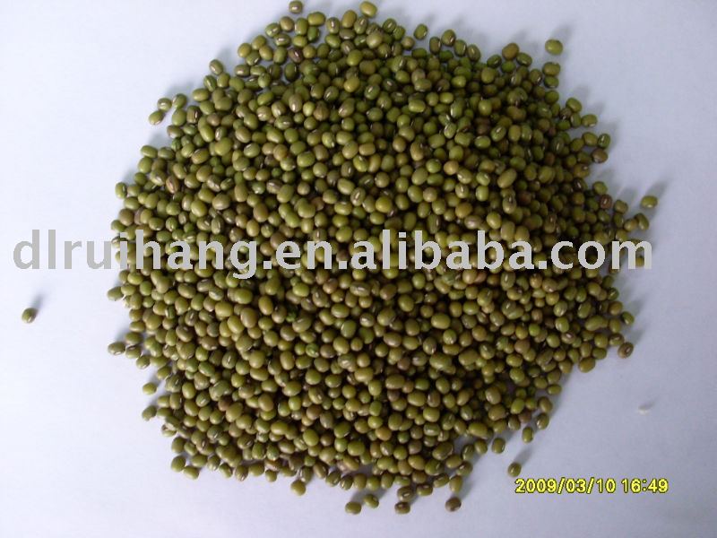 green mung bean
