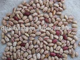 light speckled kidney bean