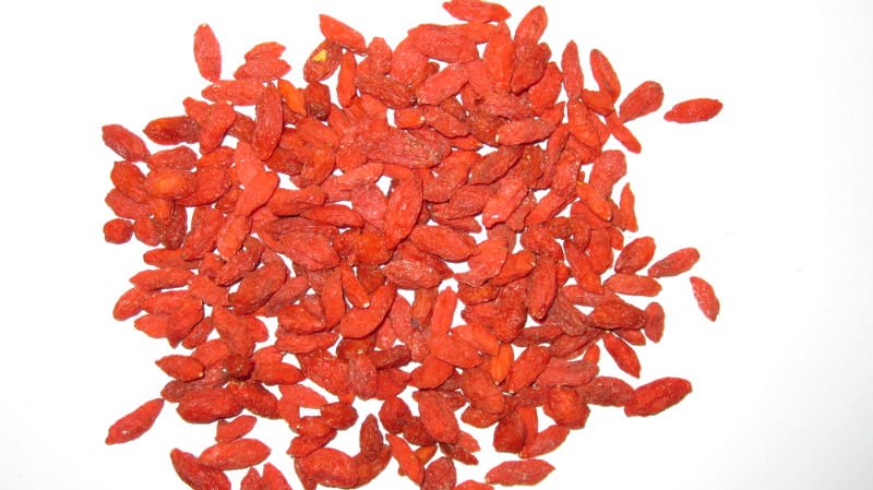 Goji berry