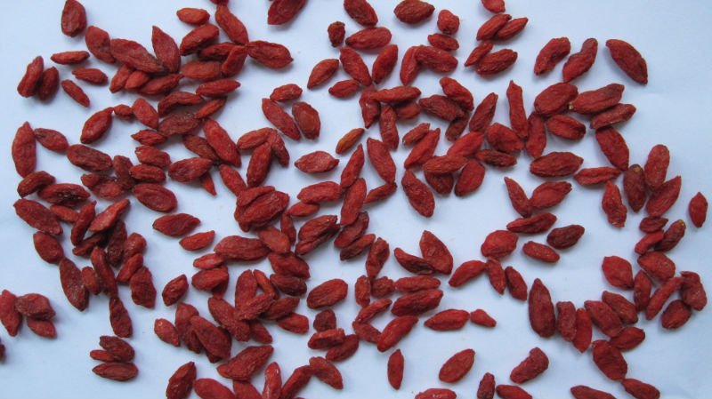 Dried goji berries