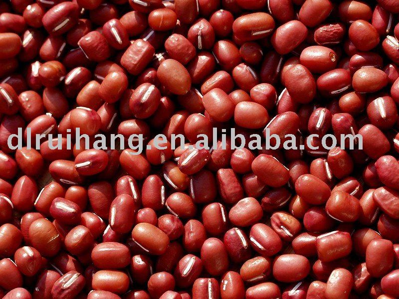 cowpea bean