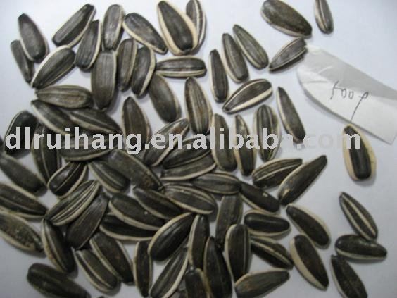 sunflowerseeds