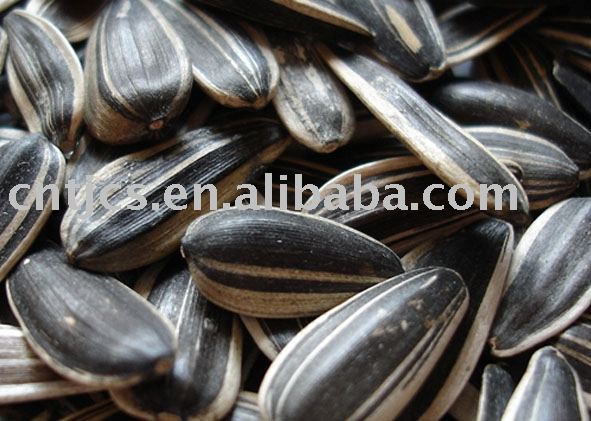  Sunflower   seeds :  20 / 64 , 22/ 64 , 24/ 64 
