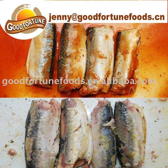 canned mackerel