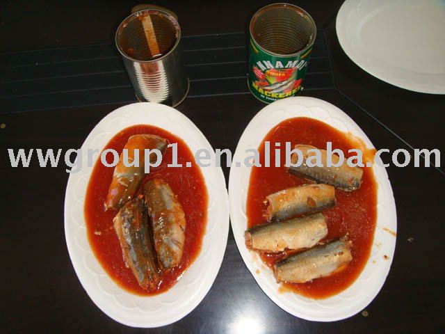 canned Mackerel