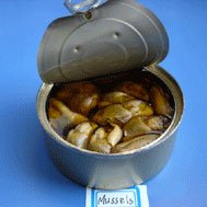 Canned Smoked mussels(Smoked mussels/mussels)