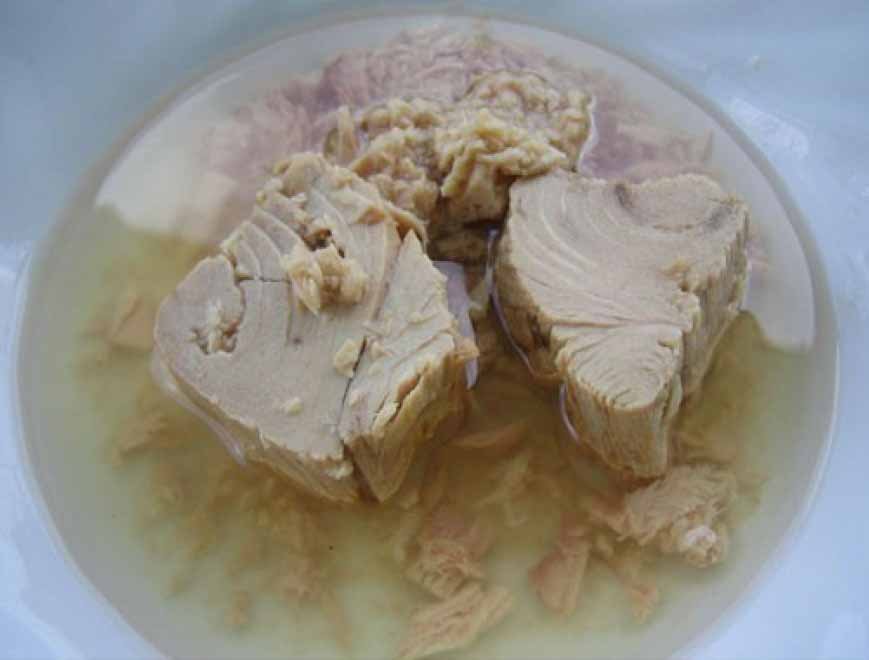 CANNED BONITO TUNA CHUNK IN VEGETABLE OIL