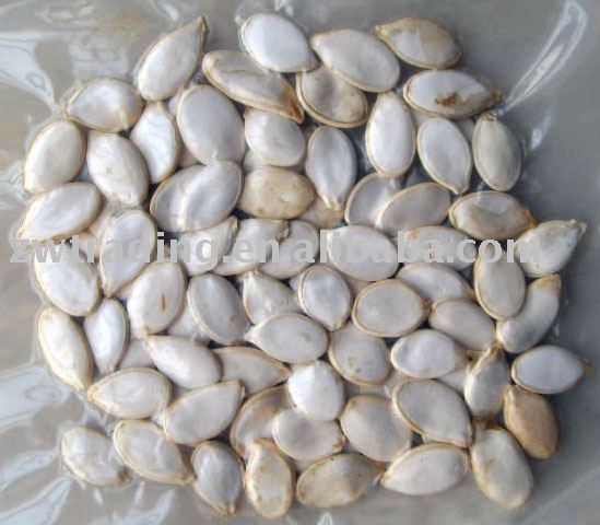 Snow white pumpkin seeds