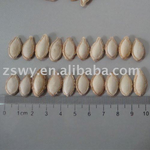 Roasted Pumpkin Seeds